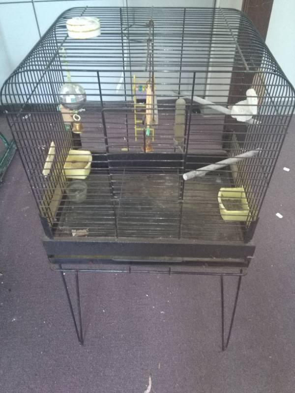 lot 2347 image: Metal Bird Cage on Metal Stand