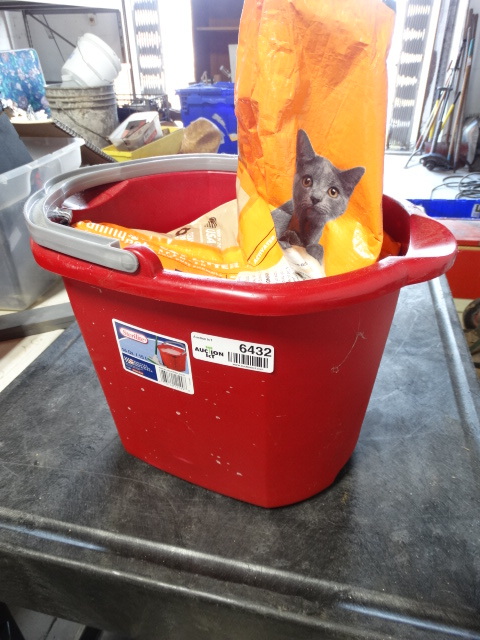 lot 6432 image: Bag of cat litter and 16Qt tote.