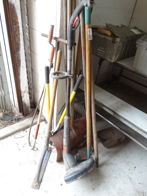 lot 6462 image: Long handled tools and a craftsman weed wacker.