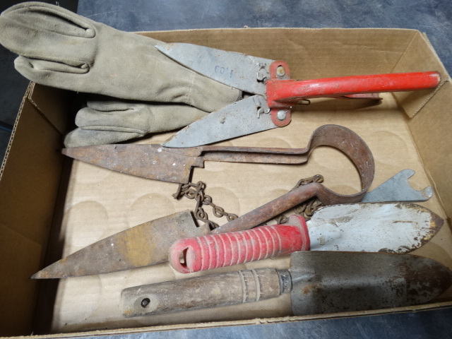 lot 6503 image: Gardining gloves and tools.