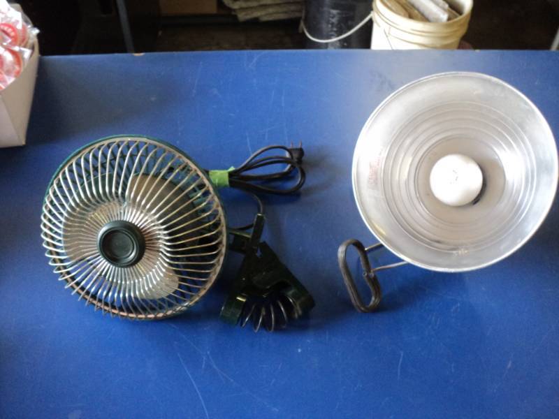 lot 8845 image: (2) ct mixed lot,(1) fan with clip, clip is broken-damaged,(1) light with clip