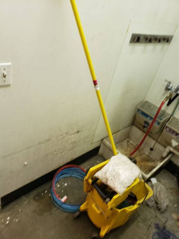 lot 8634 image: Mop and bucket