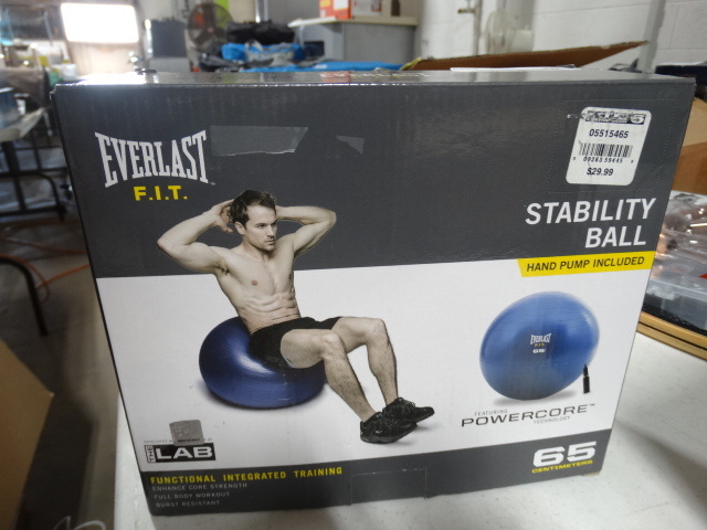 lot 376 image: Everlast stability ball.
