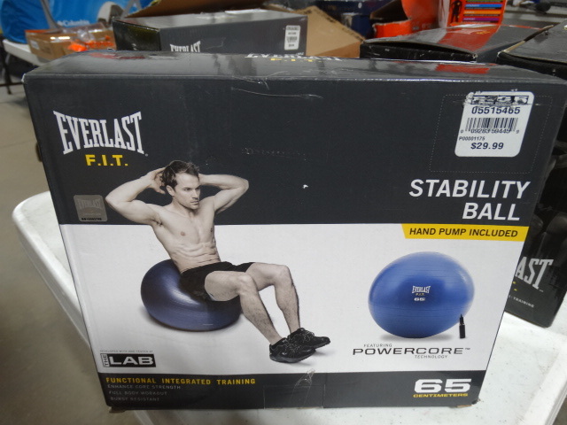 lot 377 image: Everlast stability ball.