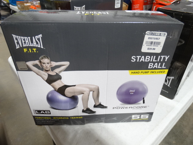lot 378 image: Everlast stability ball.