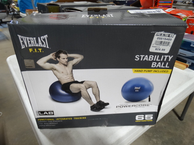 lot 379 image: Everlast stability ball.