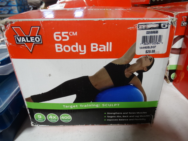 lot 384 image: Valeo 65cm body ball.