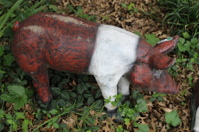 lot 1237 image: 2 Iron Pigs yard figures.  Large Pig  31 x 16 tall and small pig  13.5 x 8 tall