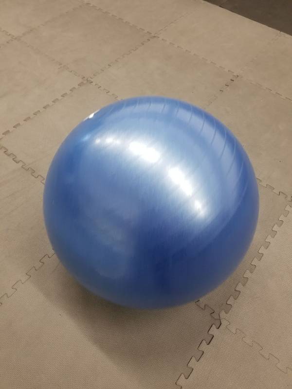 lot 1684 image: Golds Gym Bosu Ball