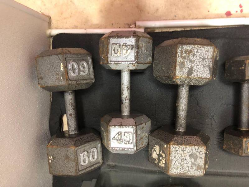 lot 9017 image: 15lb and 60lb Weights