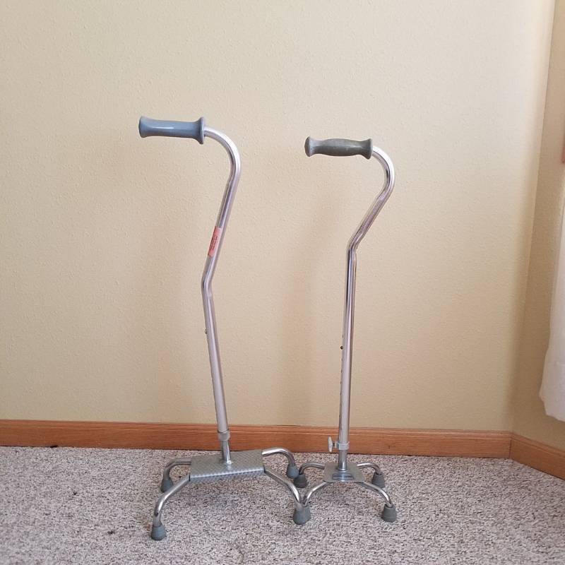 lot 6981 image: 2 canes
