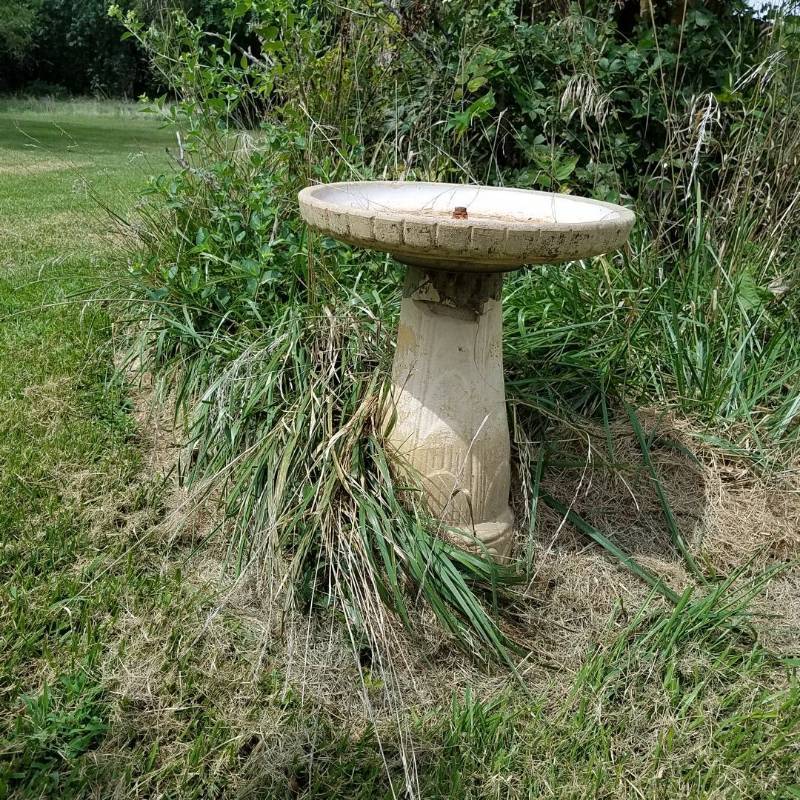 lot 7029 image: bird bath
