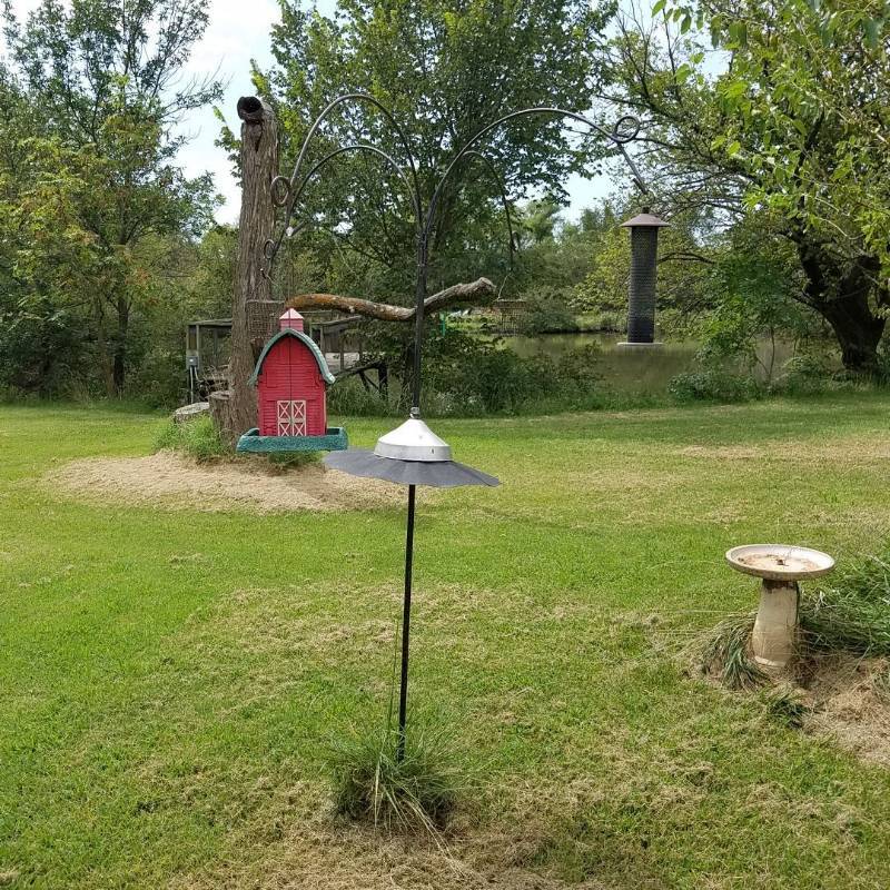 lot 7033 image: bird feeders and stand