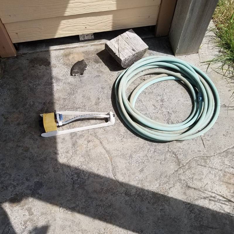 lot 7027 image: Garden hose and sprinkler