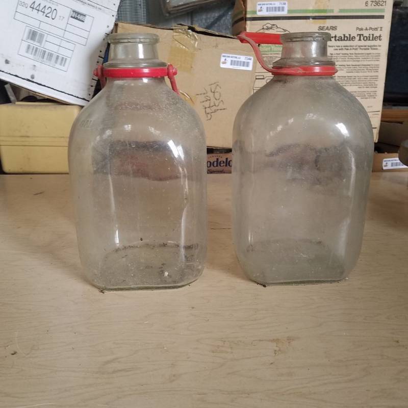 lot 7207 image: 2- 1 Gallon milk bottles