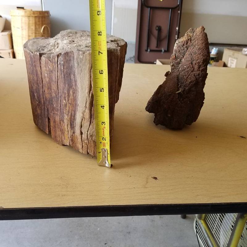 lot 7308 image: two pieces of petrified wood
