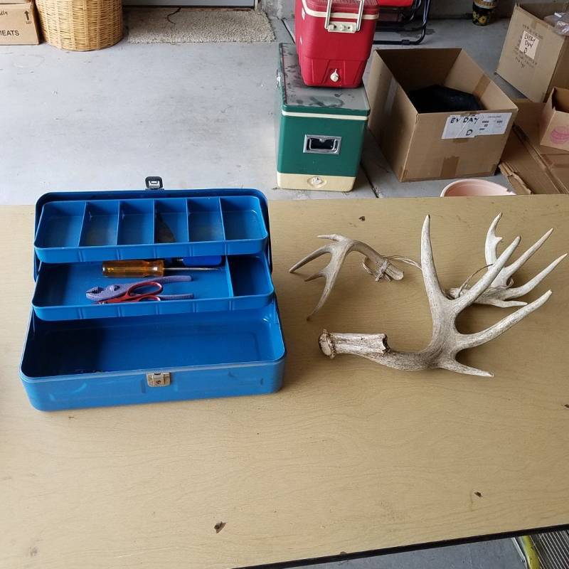 lot 7323 image: assorted antlers and toolbox