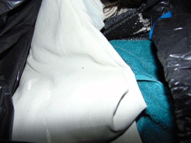 lot 18850 image: trash bag of folded towels and blankets