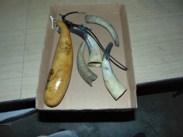 lot 18897 image: Maraca and horns