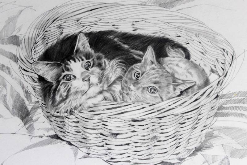 lot 1566 image: Marcia Meulengracht drawing of Cats in a Basket signed
