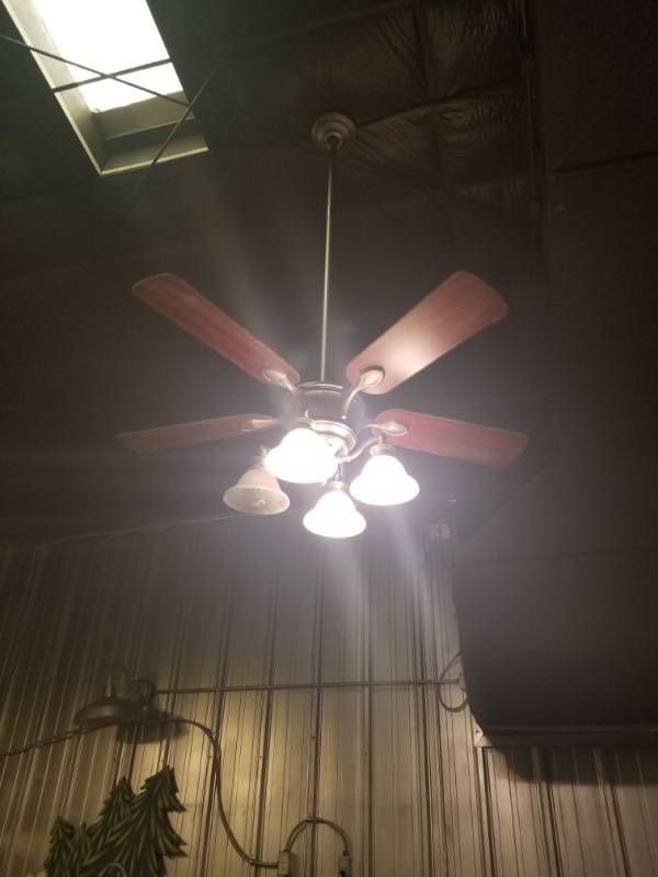 lot 2015 image: 4 Ceiling Fans