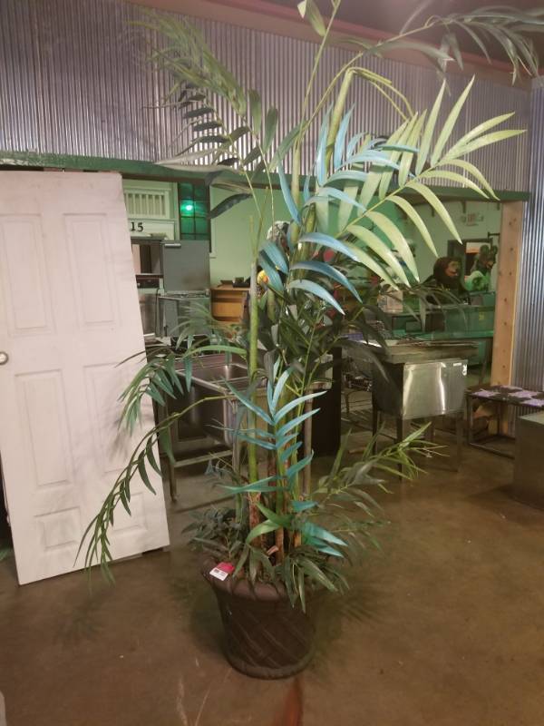 lot 2025 image: Large Fake Plant