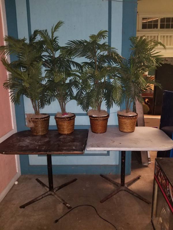 lot 2027 image: 4 Fake Plants and 2 Tables