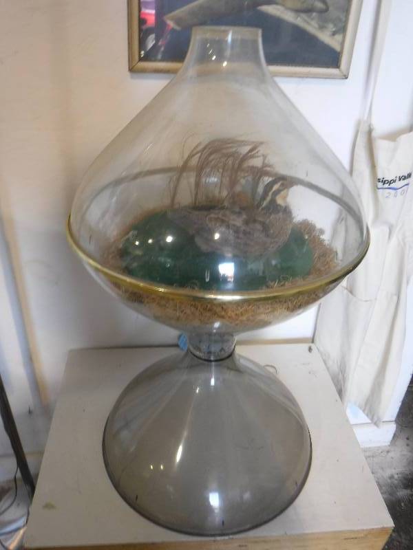 lot 3146 image: Terrarium with bird inside