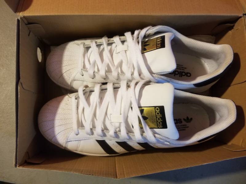 lot 2480 image: Adidas Size 9