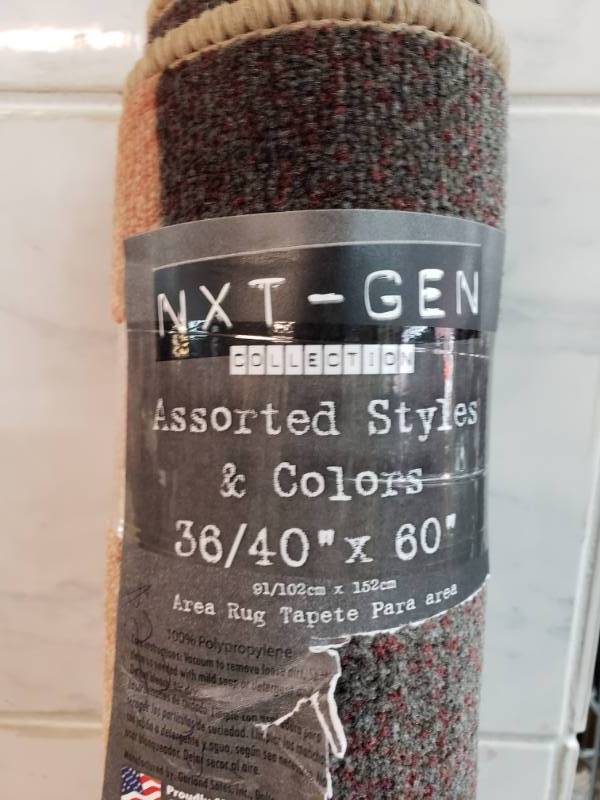 Nex Gen Area Rug 36 40 X 60 Blessed By You Appliances Bedroom And Living Room Furniture Lawn Furniture Electronics Equip Bid