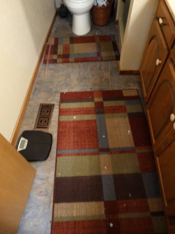lot 408 image: Bathroom contents.