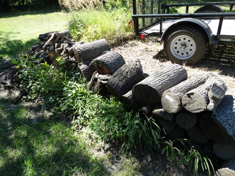 lot 755 image: Large lot of assorted size firewood- Great for camping