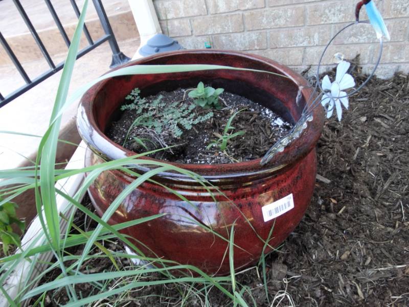 lot 758 image: Flower planter