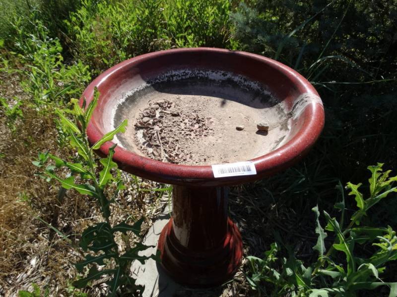 lot 761 image: Bird bath