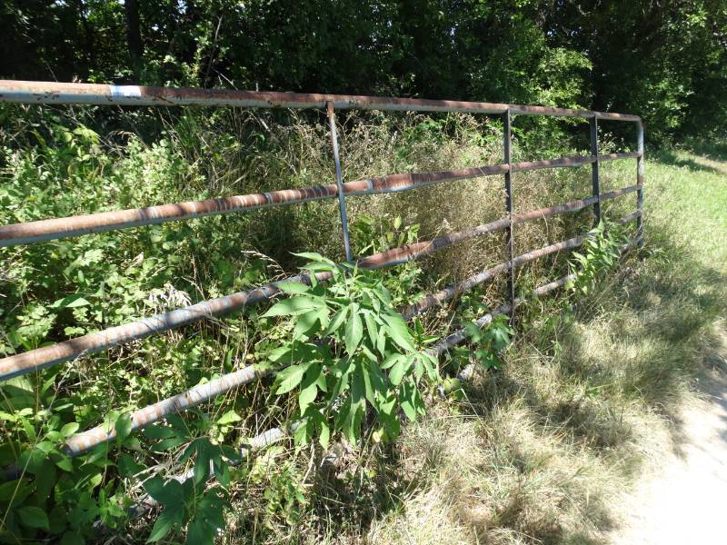 lot 2035 image: Long farm gate