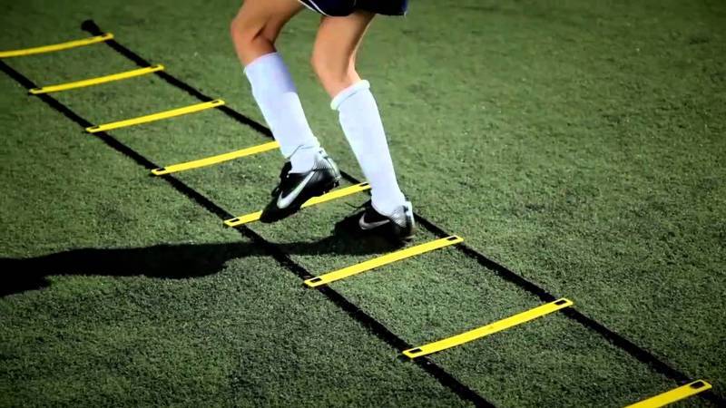 lot 86 image: SKLZ Quick Ladder