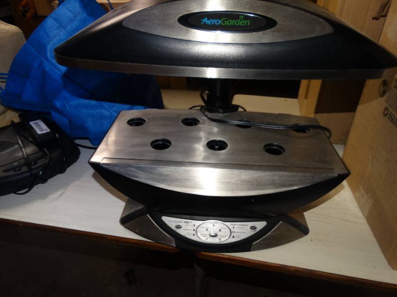 lot 631 image: Areo garden.