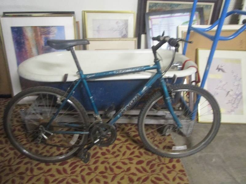 magna vermilion bike