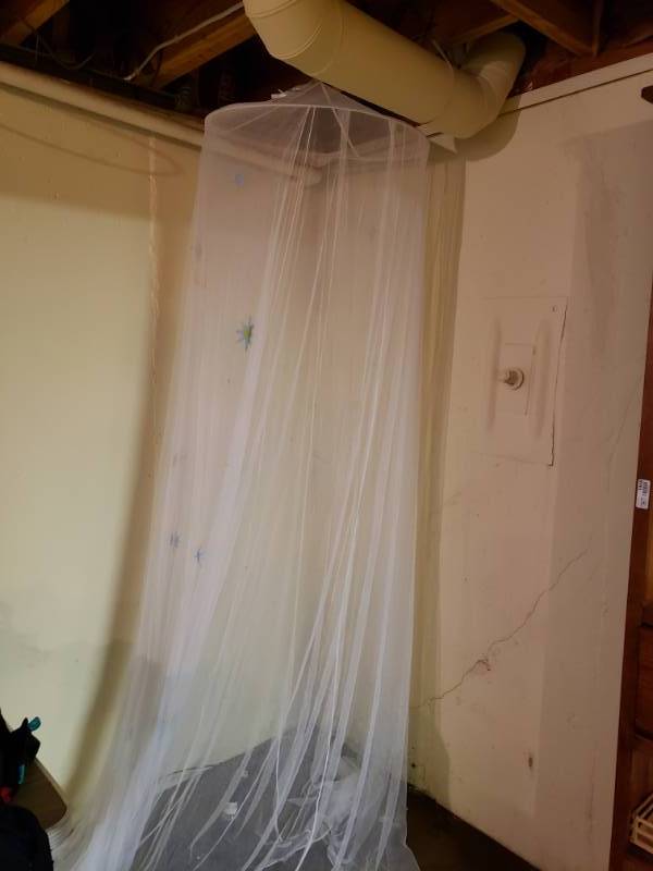 lot 1955 image: Canopy Drape