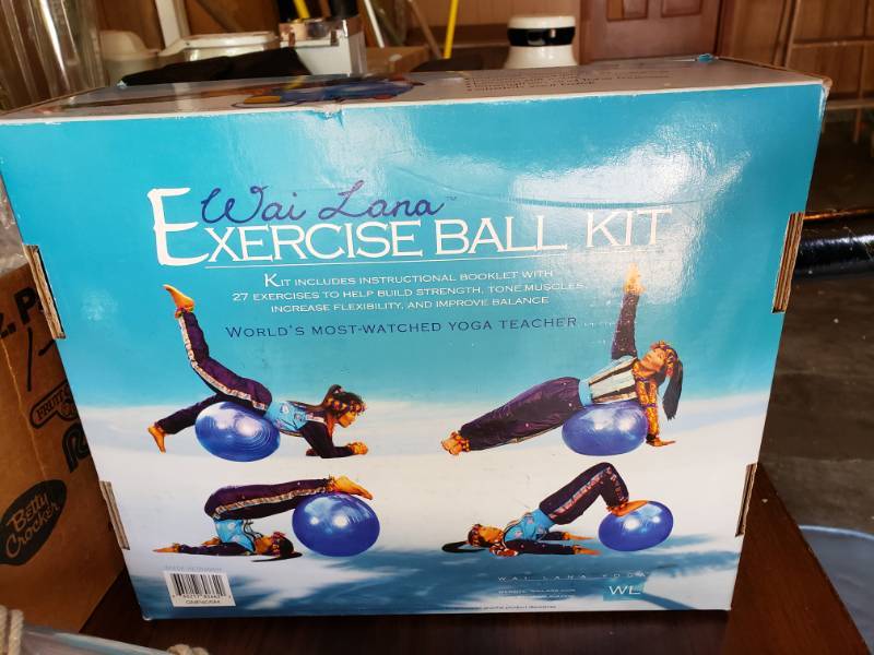 lot 1979 image: Exercise Ball
