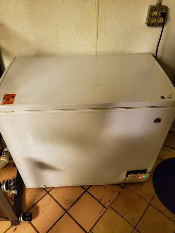 lot 1787 image: Medium Size Chest Deep Freeze