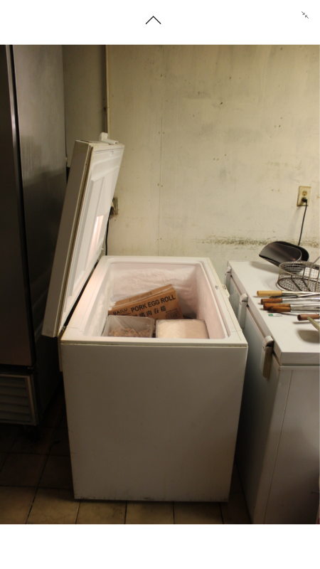 lot 1783 image: Medium Size Chest Deep Freeze