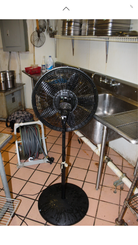 lot 1841 image: Stand Pedistal Fan