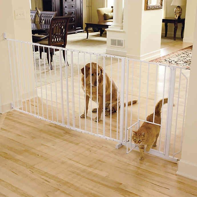 lot 3727 image: Carlson Maxi Walk-Thru Pet Gate in White with small pet door