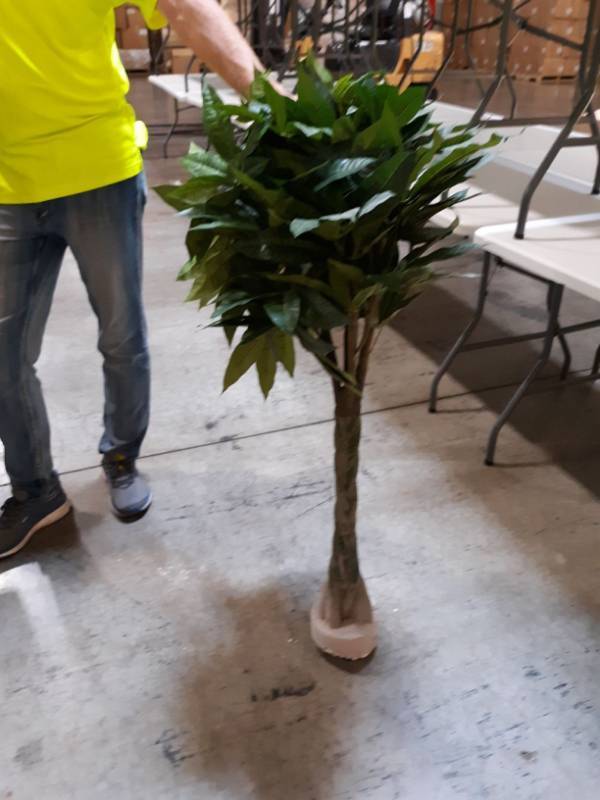 lot 9789 image: Small Artificial Tree