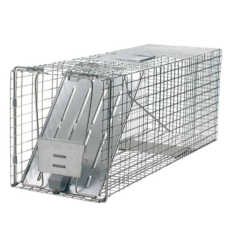 lot 9877 image: Havahart Animal Traps Single Door Raccoon Trap