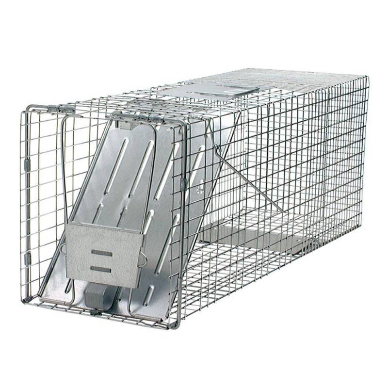 lot 9900 image: Havahart Animal Traps Single Door Raccoon Trap