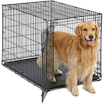 lot 9956 image: MidWest Homes for Pets Dog Crate  iCrate Single Door &amp Double Door Folding Metal Dog Crates  Fully Equipped