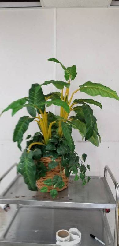 lot 2698 image: Faux Plant in Basket