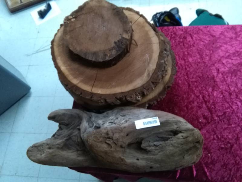 lot 5468 image: Walnut Tree Slices and Petrified Wood Piece